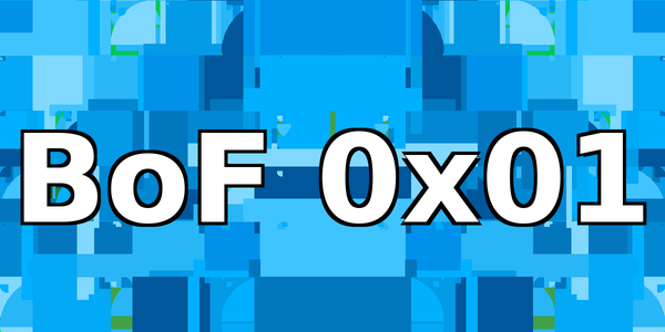 Buffer Overflow 0x01