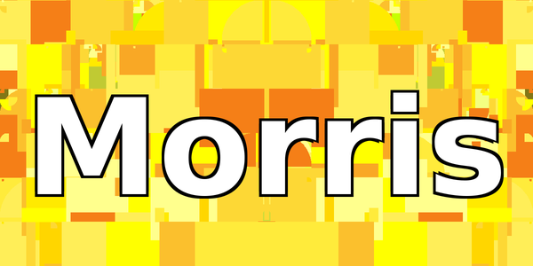 The Morris Worm
